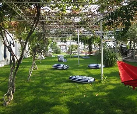 Biyikli Ayvalı